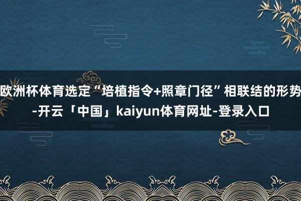 欧洲杯体育选定“培植指令+照章门径”相联结的形势-开云「中国」kaiyun体育网址-登录入口