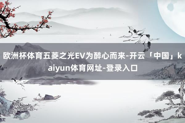 欧洲杯体育五菱之光EV为醉心而来-开云「中国」kaiyun体育网址-登录入口