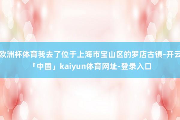 欧洲杯体育我去了位于上海市宝山区的罗店古镇-开云「中国」kaiyun体育网址-登录入口